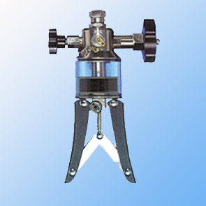 ֳָ߉